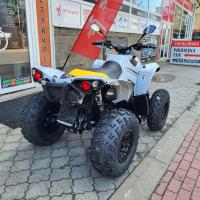 Renegade 1000R XXC MY24 Catalyst Gray Neo Yellow, AKCE ŘÍJEN