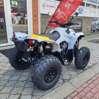 Renegade 1000R XXC MY24 Catalyst Gray Neo Yellow, AKCE ŘÍJEN